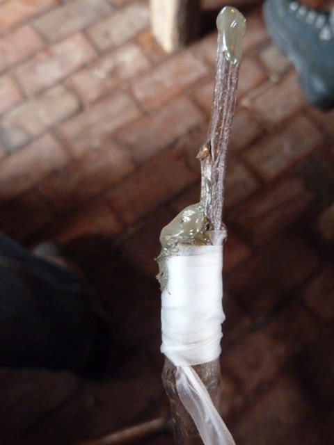 Driehoeksent gereed